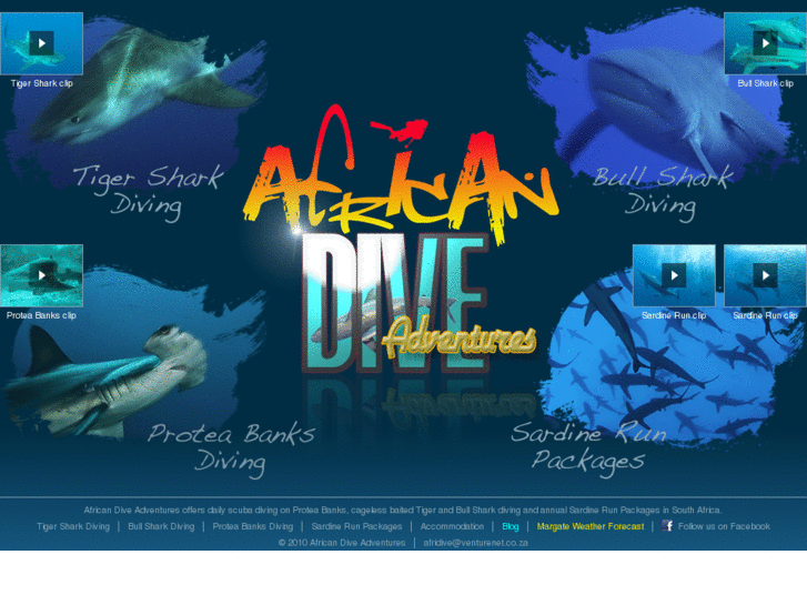 www.africandiveadventures.co.za