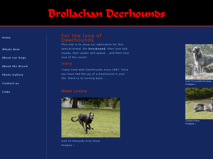 www.brollachan-deerhounds.net