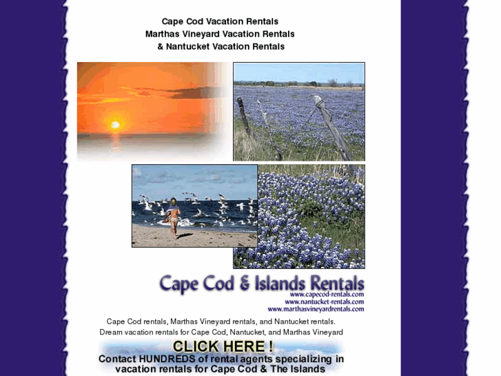 www.capecod-mls.com