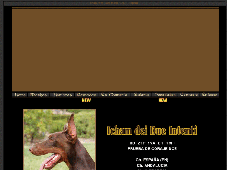 www.dobermannfercus.com