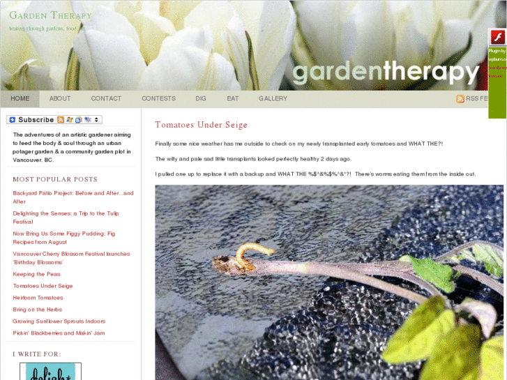 www.gardentherapy.ca