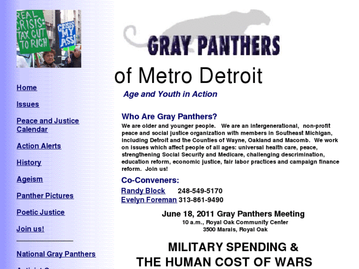 www.graypanthersmetrodetroit.org