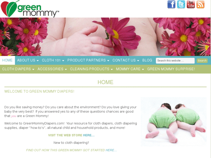 www.greenmommydiapers.com