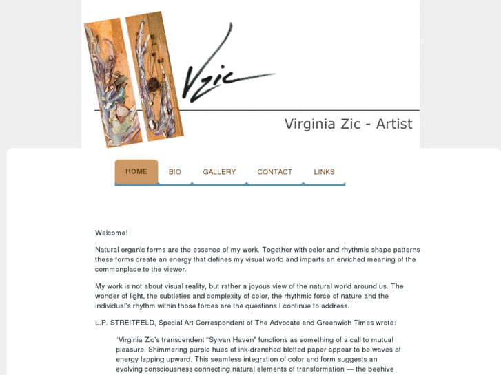 www.virginiazic.com