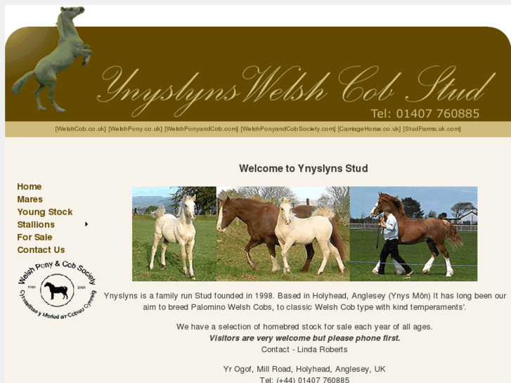 www.ynyslyns.com