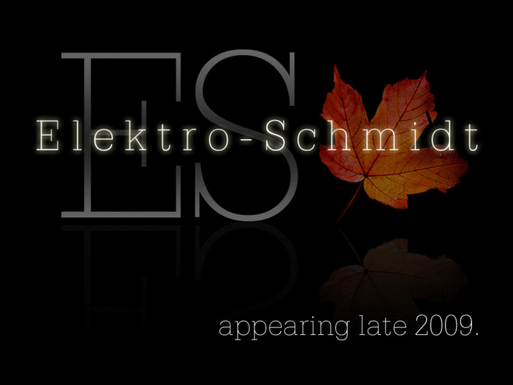 www.elektro-schmidt.org