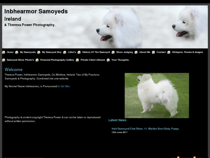 www.inbhearmorsamoyeds.com