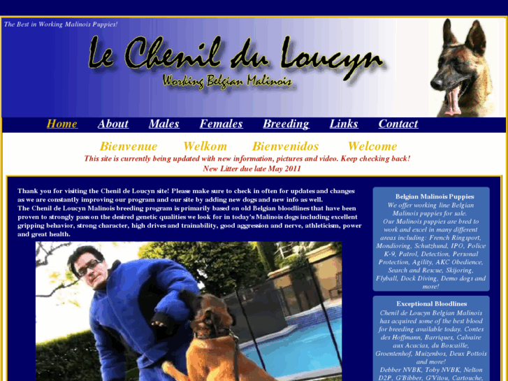 www.loucyn.com