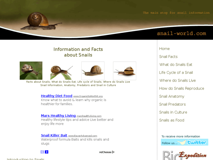 www.snail-world.com