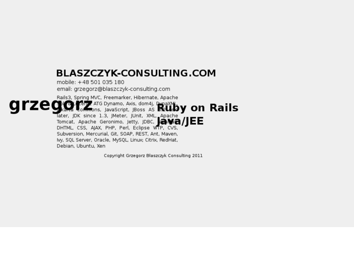 www.blaszczyk-consulting.com