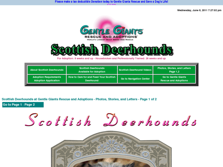 www.gentlegiantsrescue-scottish-deerhounds.com