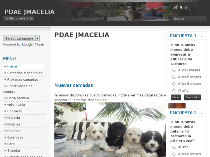 www.jmacelia.com