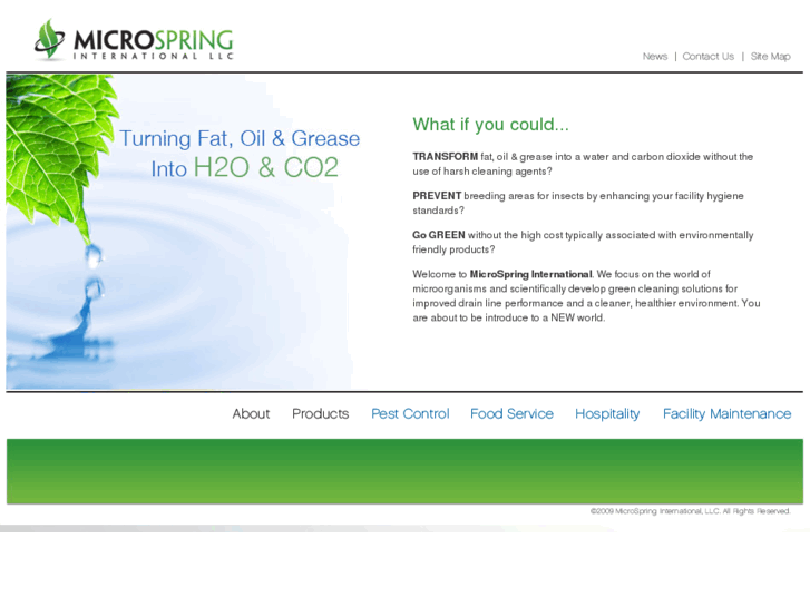 www.microspringintl.com