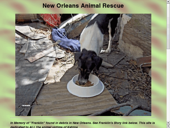 www.neworleansanimalrescue.com