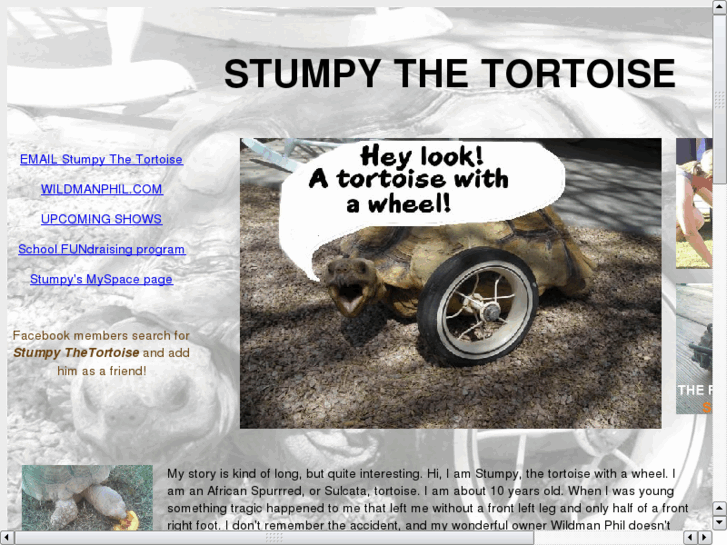 www.stumpythetortoise.com