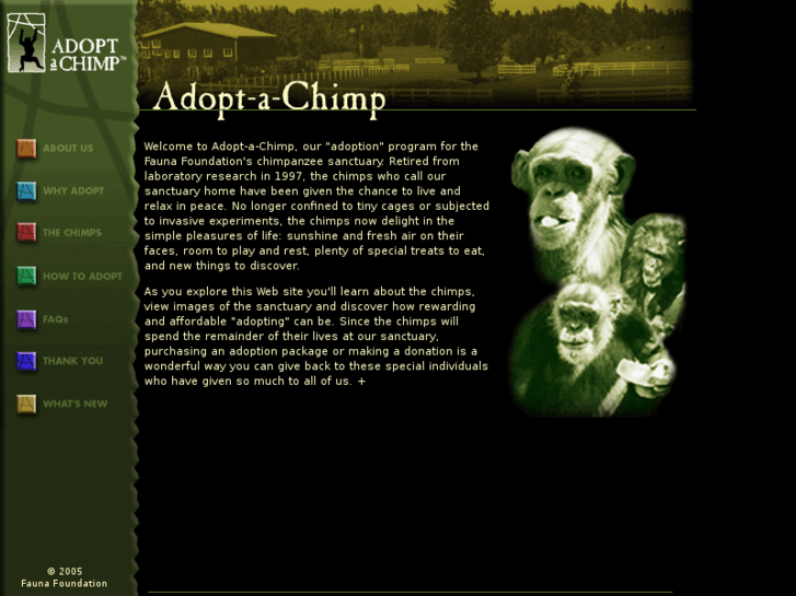 www.adopt-a-chimp.com