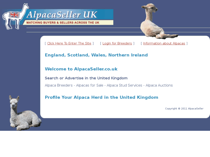 www.alpacaseller.co.uk