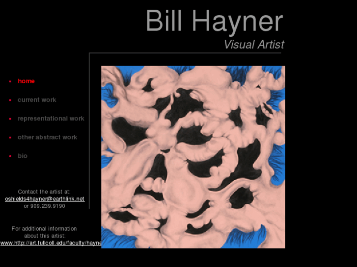 www.billhaynerart.com