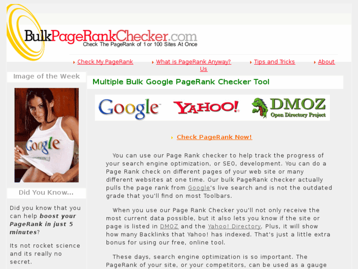 www.bulkpagerankchecker.com