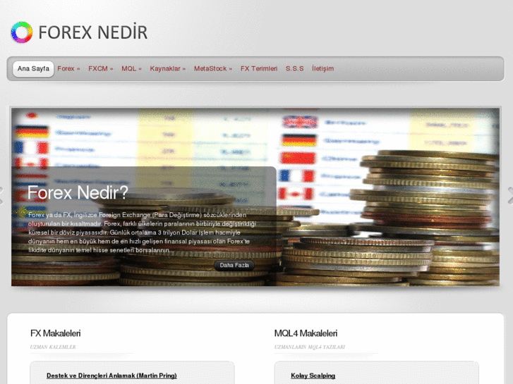 www.forexnedir.com