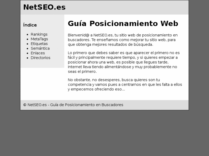 www.netseo.es