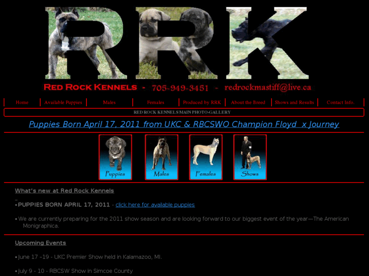 www.redrockmastiff.com