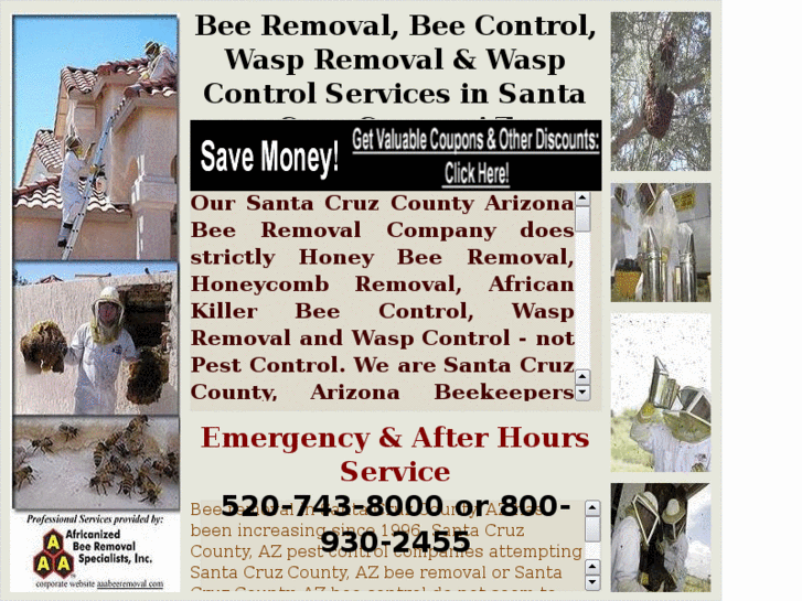 www.beeremovalsantacruzcountyaz.com