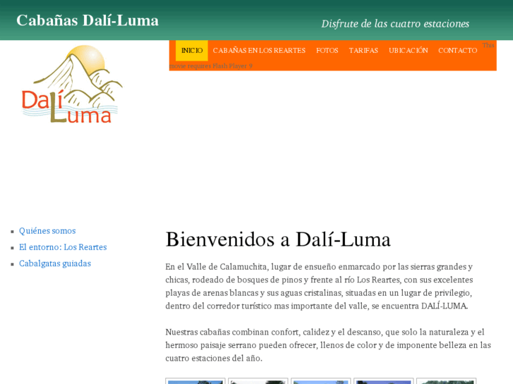 www.daliluma.com