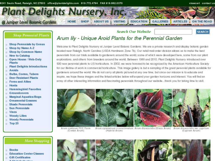 www.arumlilyplants.com