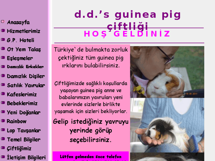 www.ddsguineapig.com