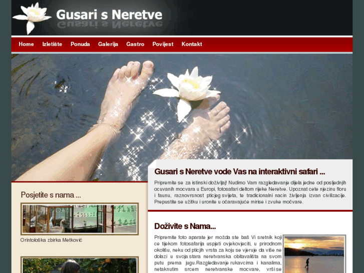 www.gusarisneretve.com