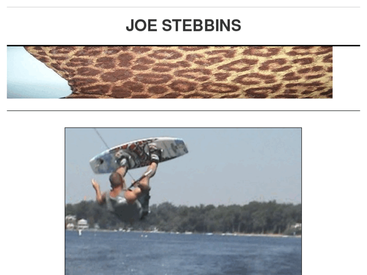 www.joestebbins.com