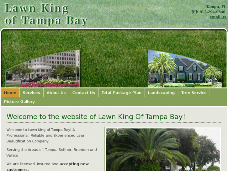 www.lawnkingoftampabay.com