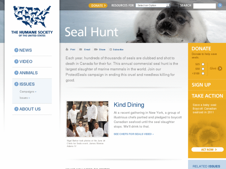 www.protectseals.biz