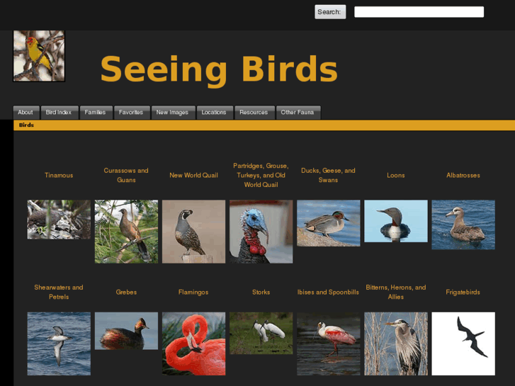 www.seeingbirds.com