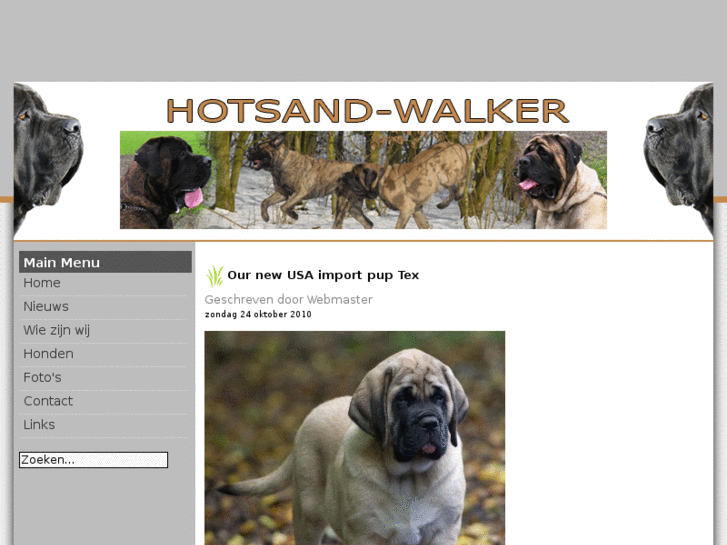 www.hotsand-walker.com