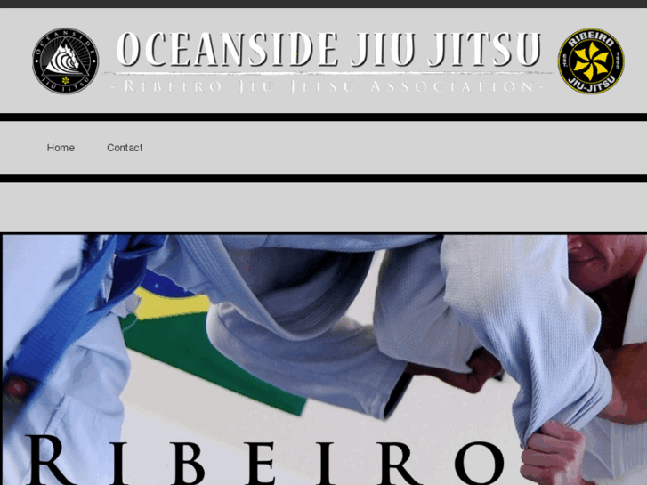 www.ribeirojiujitsuteam.com