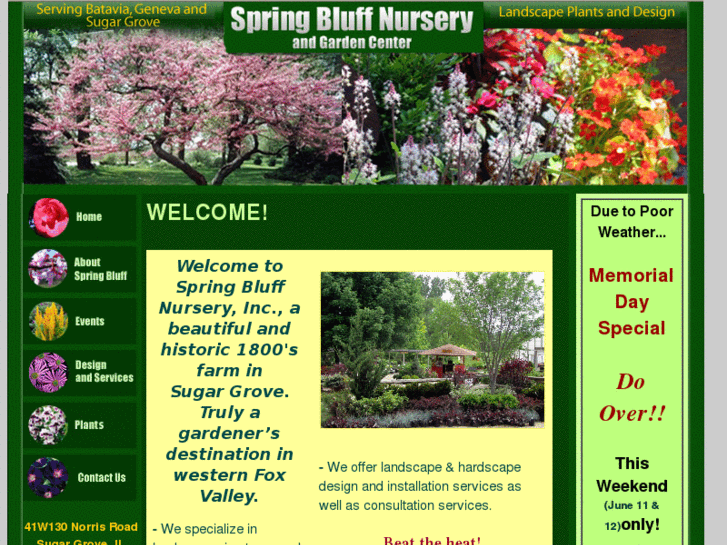 www.springbluffnursery.com