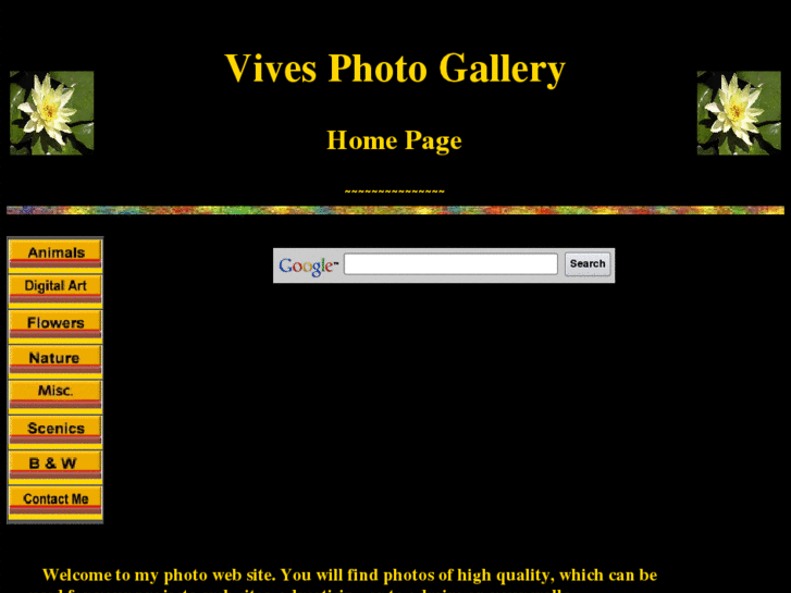 www.vivesphotogallery.com