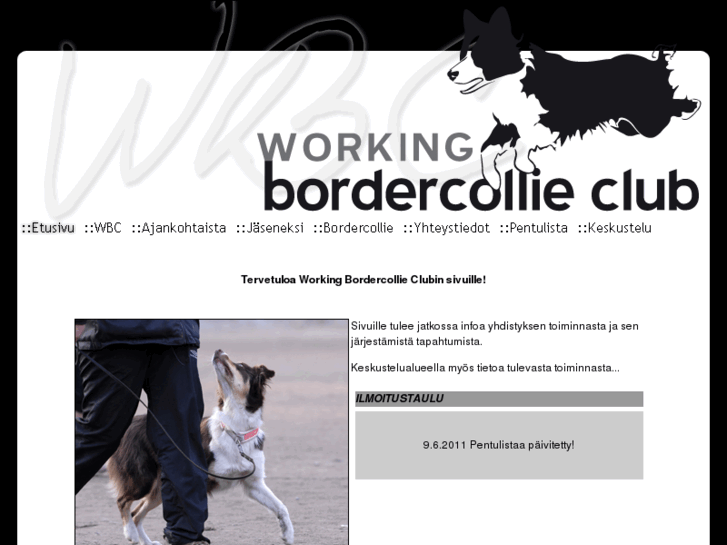 www.workingbordercollieclub.com