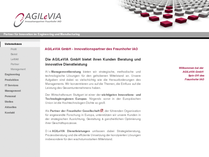 www.agilevia.com