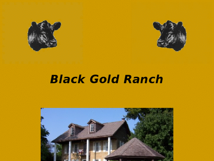 www.blackgoldranch.com