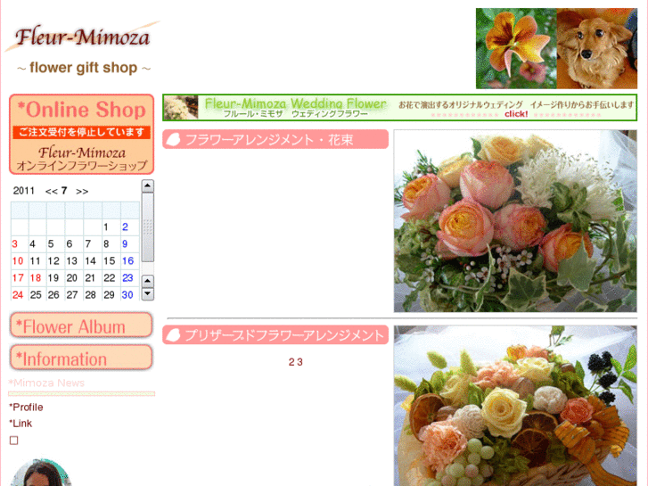 www.fleur-mimoza.com