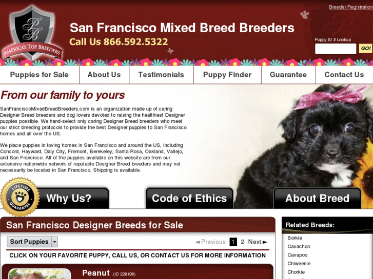 www.sanfranciscomixedbreedbreeders.com