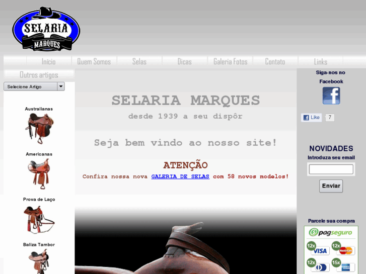 www.selariamarques.com