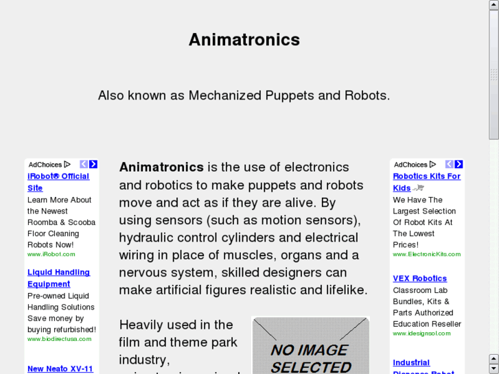 www.animatronics.info