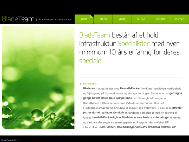 www.bladeteam.com