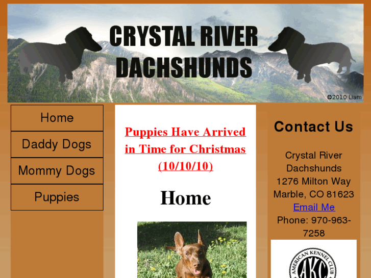 www.crystalriverdachshunds.com