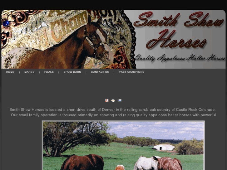 www.csshowhorses.com