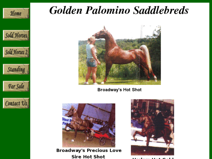 www.goldensaddlebreds.com